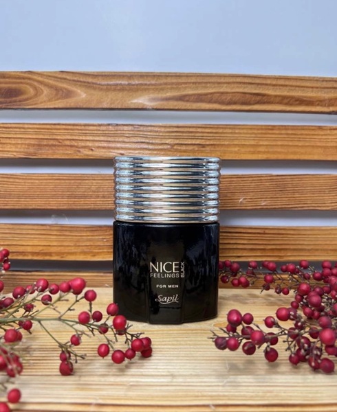 ادکلن مردانه Nice Feelings Black for Men